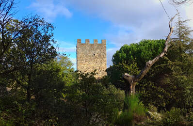 À VENDRE CHATEAU DE BEAUVOIR  À  RESTAURER - SOUDORGUES - SECTEUR LASALLE — photo du bien