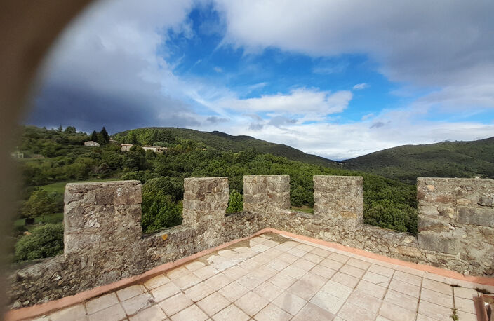 À VENDRE CHATEAU DE BEAUVOIR  À  RESTAURER - SOUDORGUES - SECTEUR LASALLE — photo 5