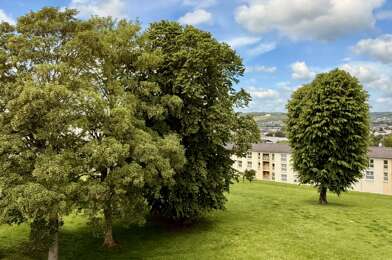 Appartement 3 pièces 75000 €