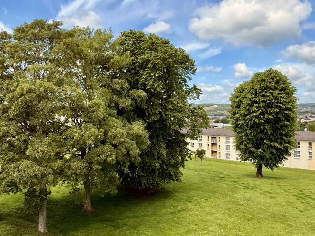 Vente Appartement 3 pièces — photo du bien