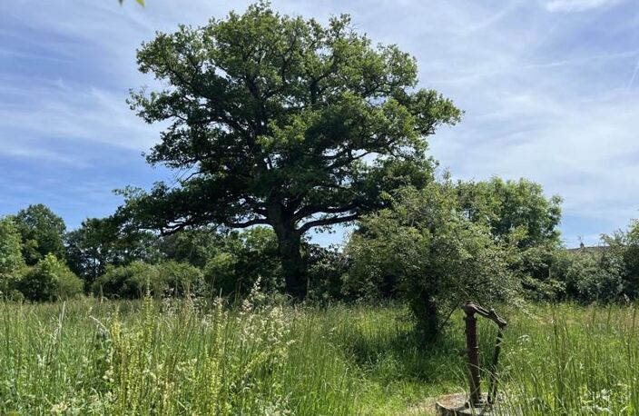 Ferme (tte) de 5 pièces principales — photo 4
