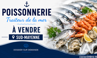 Commerce  110 m² à vendre à Château-Gontier-sur-Mayenne (53200)