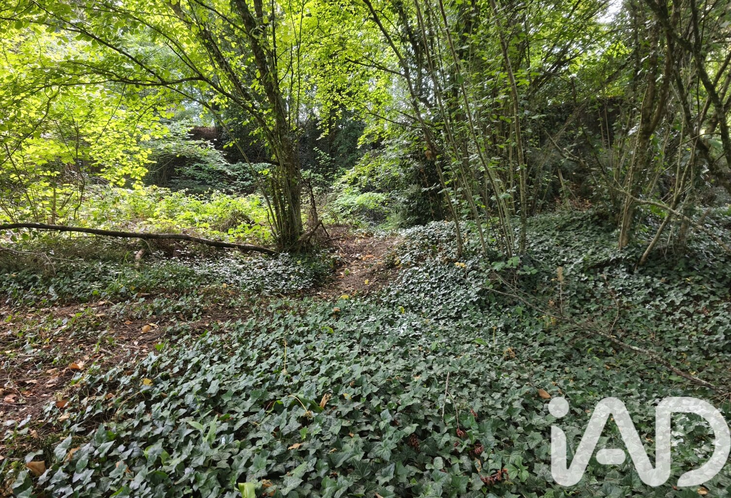 Vente Terrain à bâtir 689 m&sup2; — photo 1