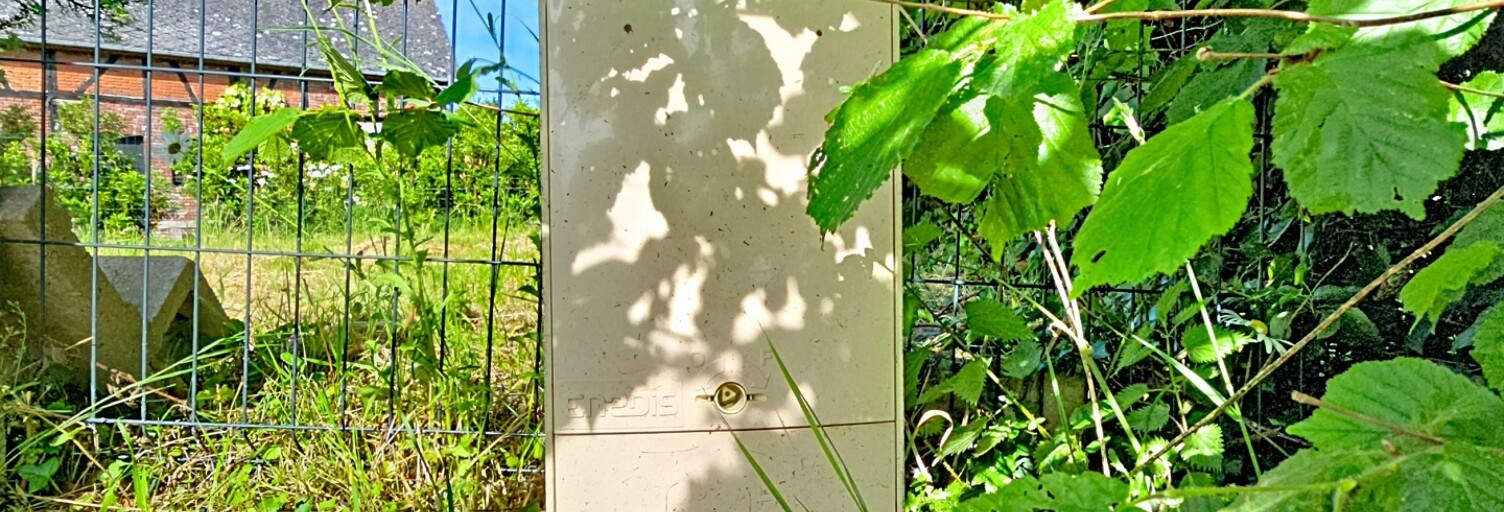 Photo N° 2