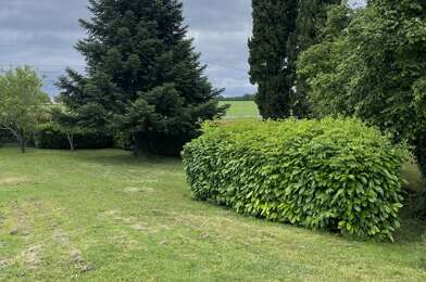 Terrain  55000 €