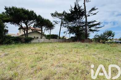 Terrain  222000 €