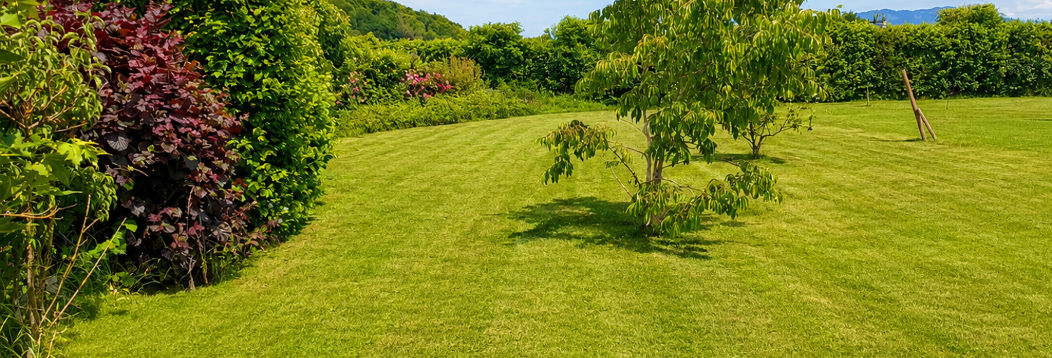 Terrain  615 m² à vendre à Colombe (38690)