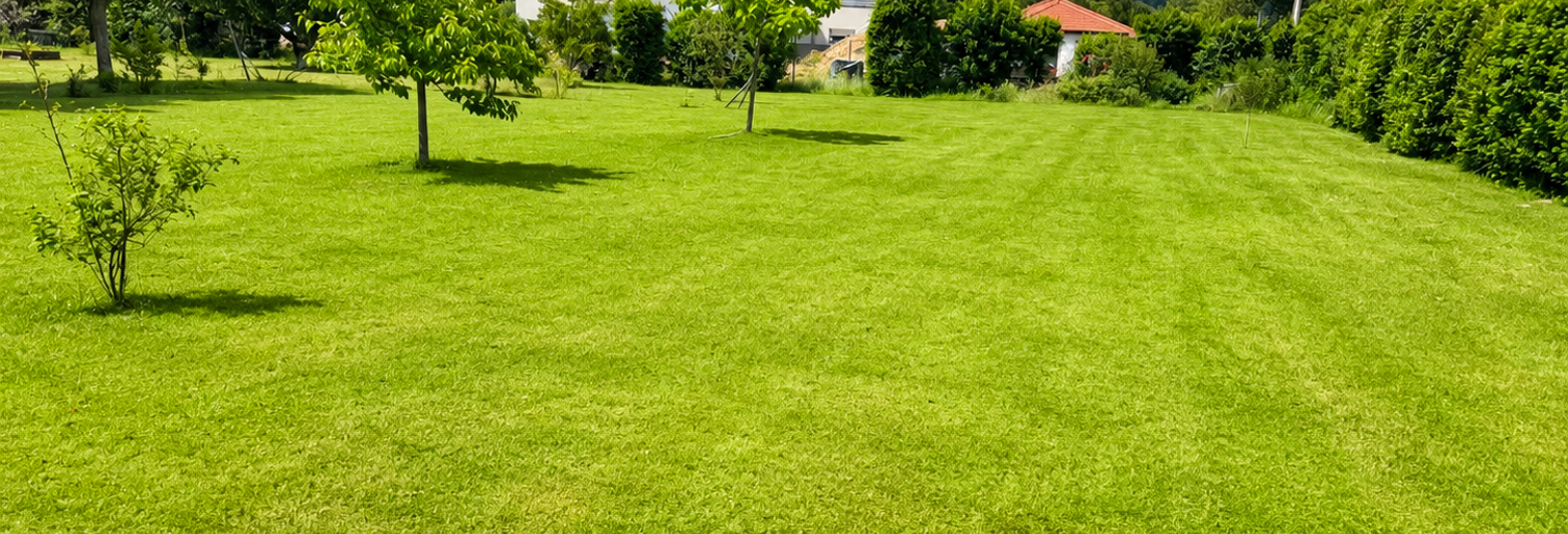 Terrain  616 m² à vendre à Colombe (38690)