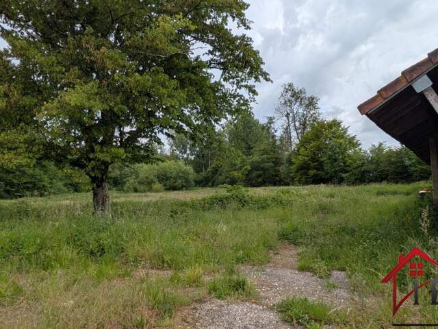 maison à rénover avec 13 000m2 terrain — photo du bien