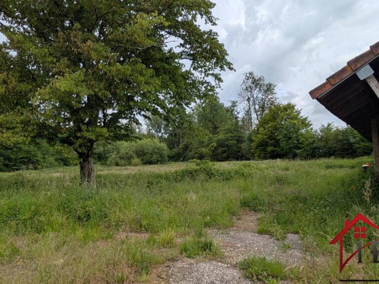 maison à rénover avec 13 000m2 terrain — photo 1