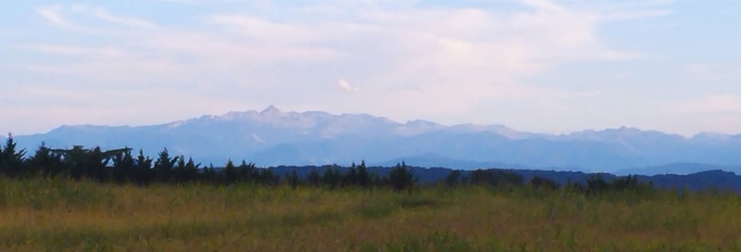 Photo N° 2
