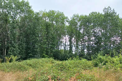 Terrain  33000 €