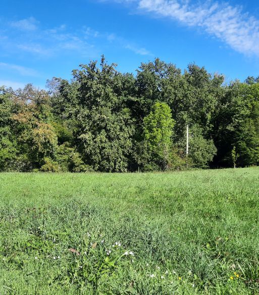 Terrain à bâtir de 1113 m² à ESCOUTOUX (63)