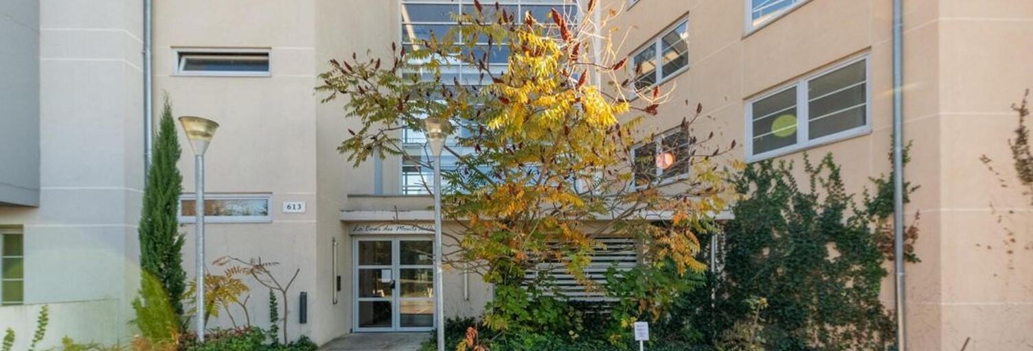 Appartement 1 Pièce 19 m² à louer à Limonest (69760)