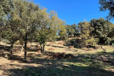 Terrain  291200 €