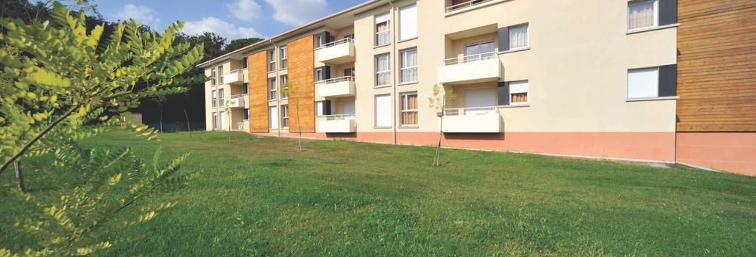 Appartement 1 Pièce 19 m² à vendre à Tournefeuille (31170)