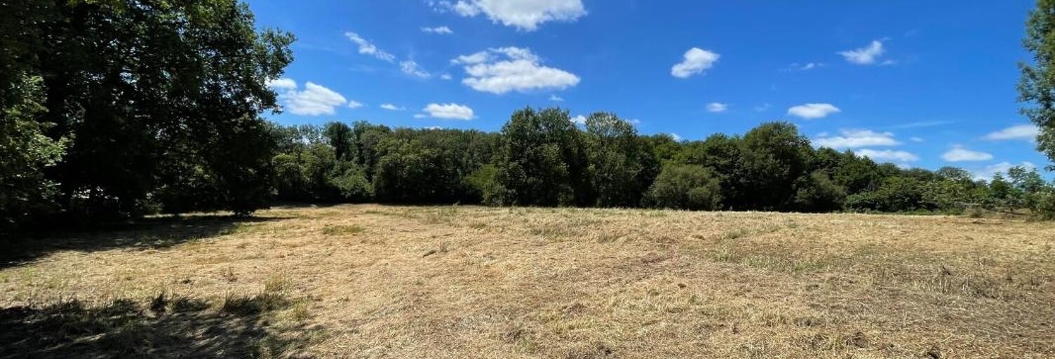 Terrain  15973 m² à vendre à Saint-Priest-sous-Aixe (87700)