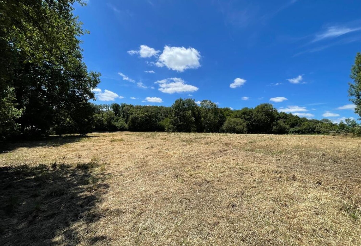   Magnifique terrain de loisirs de près de 1,6 hectares !   — photo 1