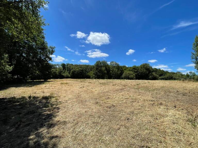   Magnifique terrain de loisirs de près de 1,6 hectares !   — photo 1