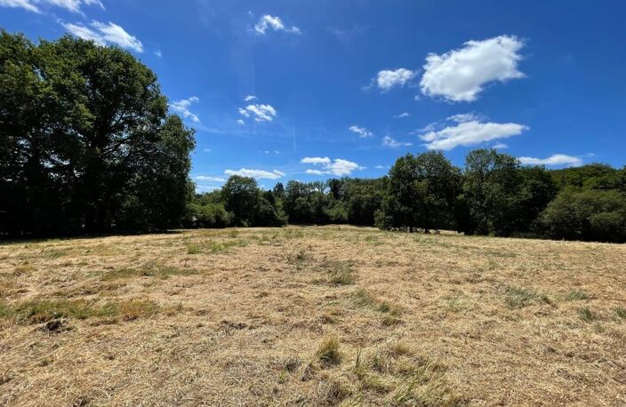   Magnifique terrain de loisirs de près de 1,6 hectares !   — photo 2