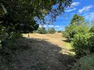   Magnifique terrain de loisirs de près de 1,6 hectares !   — photo 3
