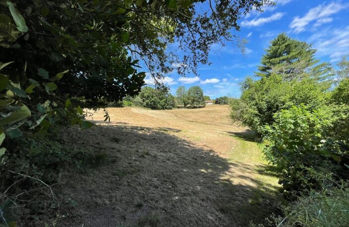   Magnifique terrain de loisirs de près de 1,6 hectares !   — photo 3