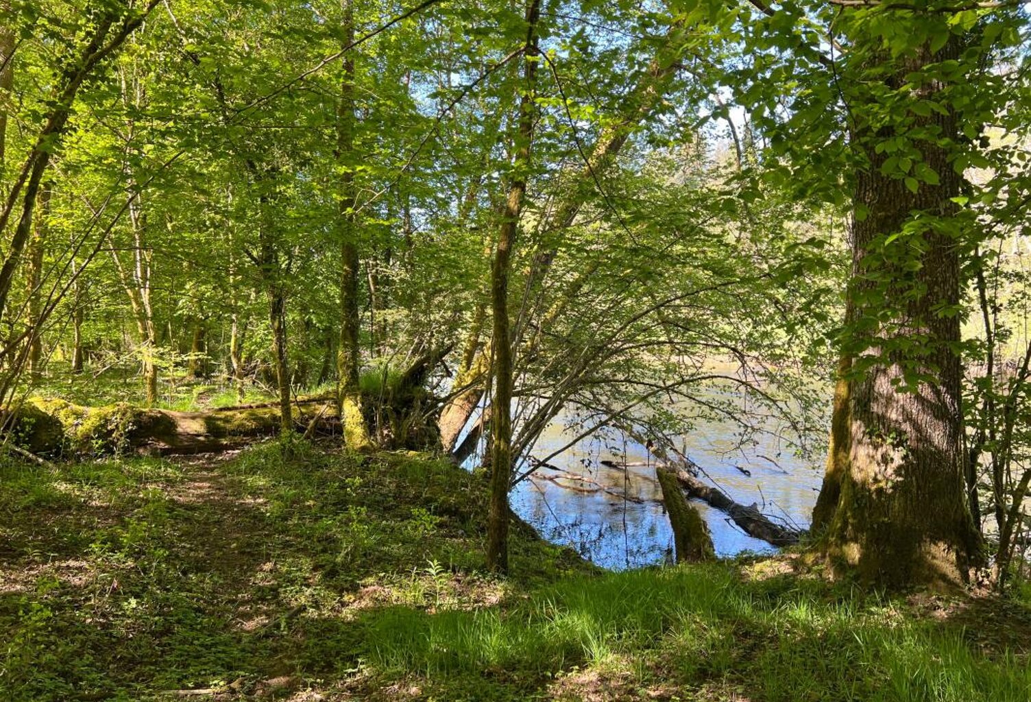 Terrain À Vendre - Bois en bord de rivière — photo 1