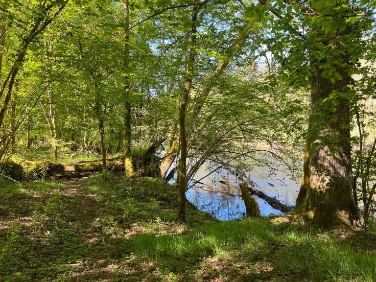 Terrain À Vendre - Bois en bord de rivière — photo 1