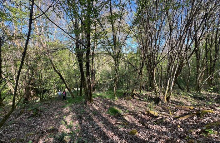 Terrain À Vendre - Bois en bord de rivière — photo 2