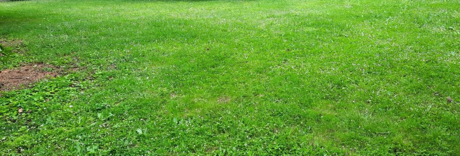 Terrain  2921 m² à vendre à Bourcefranc-le-Chapus (17560)