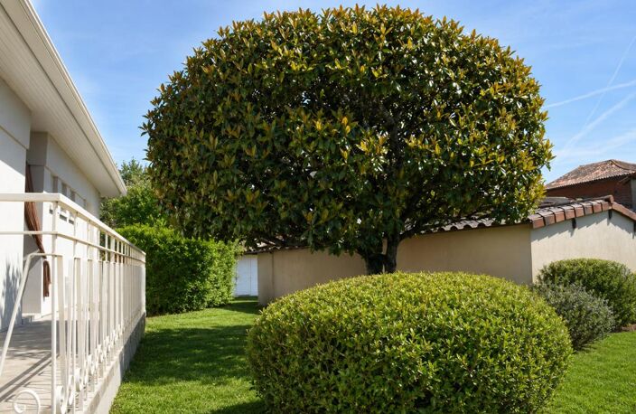 Lafrançaise  82130 , Entre Montauban et  Moissac: Maison  plain-pied  82 m², 5 Pièces , 3 chambres avec jardin privatif et garage fermé — photo 4