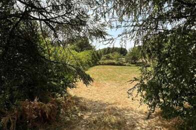 Terrain  20000 €