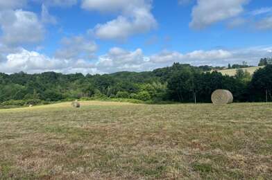 Terrain  29000 €