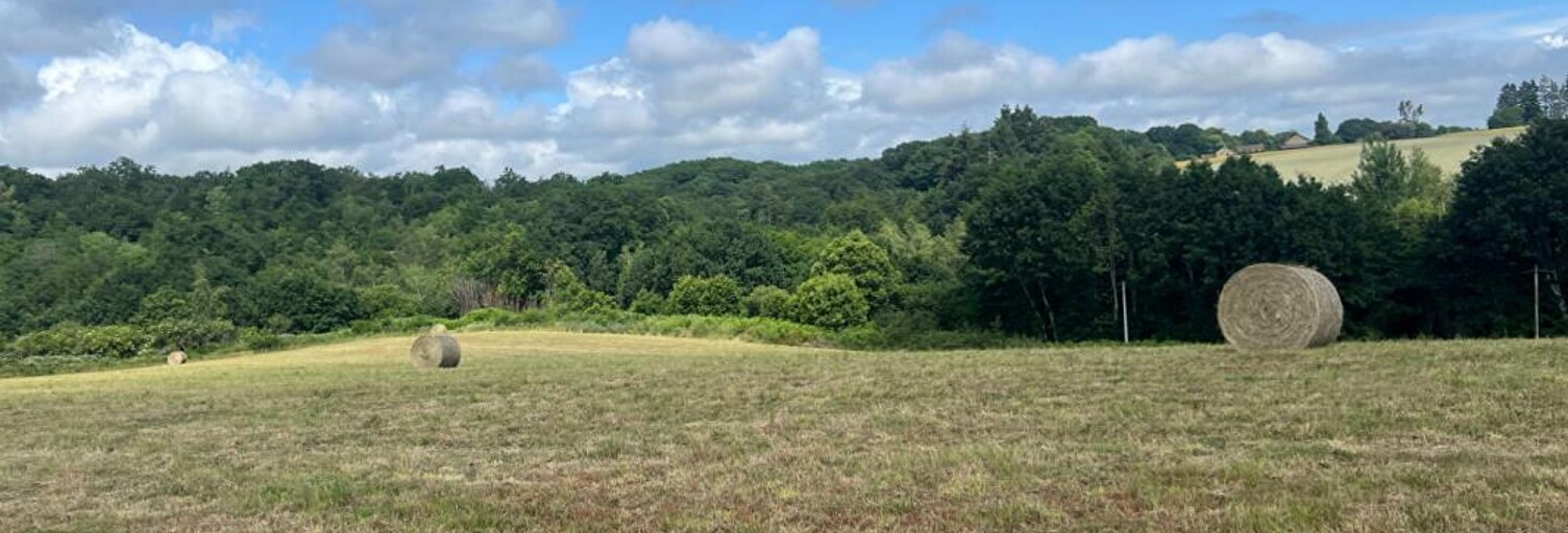 Terrain  29147 m² à vendre à Saint-Yrieix-la-Perche (87500)