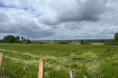 Terrain  39000 €