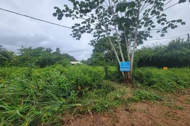 Terrain  80000 €