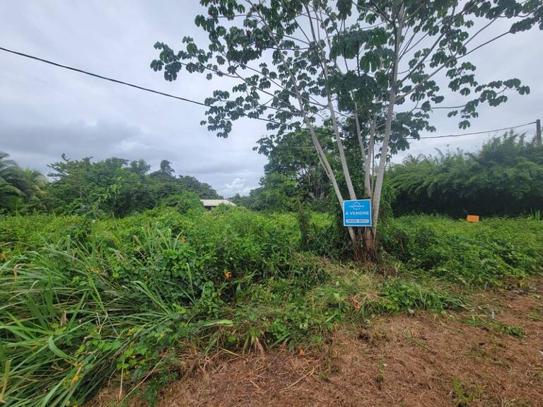 Terrain avec Maison en bois - Savane Sarcelle - MANA (973) — photo 1