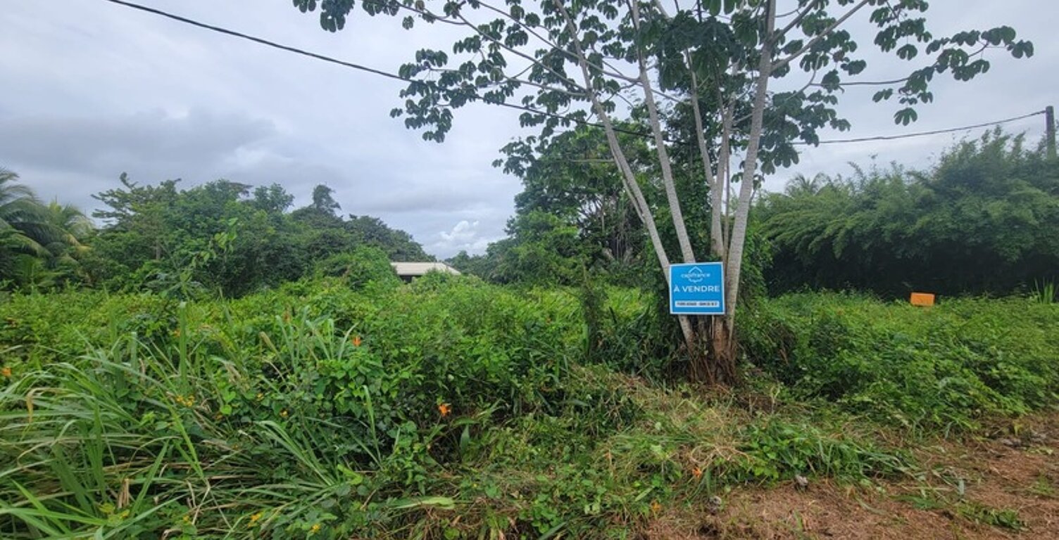 Terrain avec Maison en bois - Savane Sarcelle - MANA (973) — photo 1