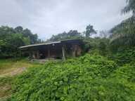 Terrain avec Maison en bois - Savane Sarcelle - MANA (973) — photo 4