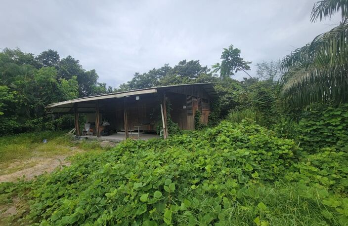 Terrain avec Maison en bois - Savane Sarcelle - MANA (973) — photo 4