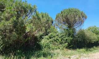 Terrain  800 m² à vendre à Gratens (31430)