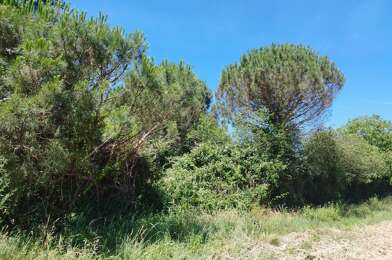 Terrain  66000 €