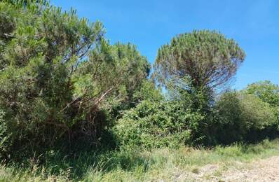 TERRAIN DE 800 M² À GRATENS (31430) — photo du bien