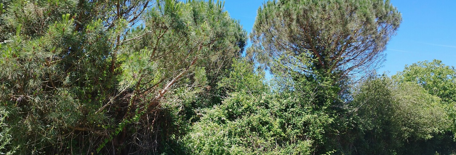 Terrain  800 m² à vendre à Gratens (31430)