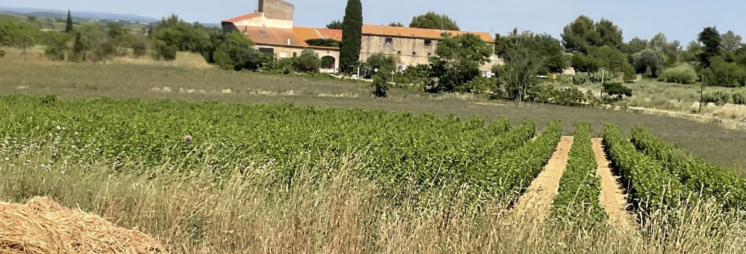 Maison 15 Pièces 576 m² à vendre à Béziers (34500)