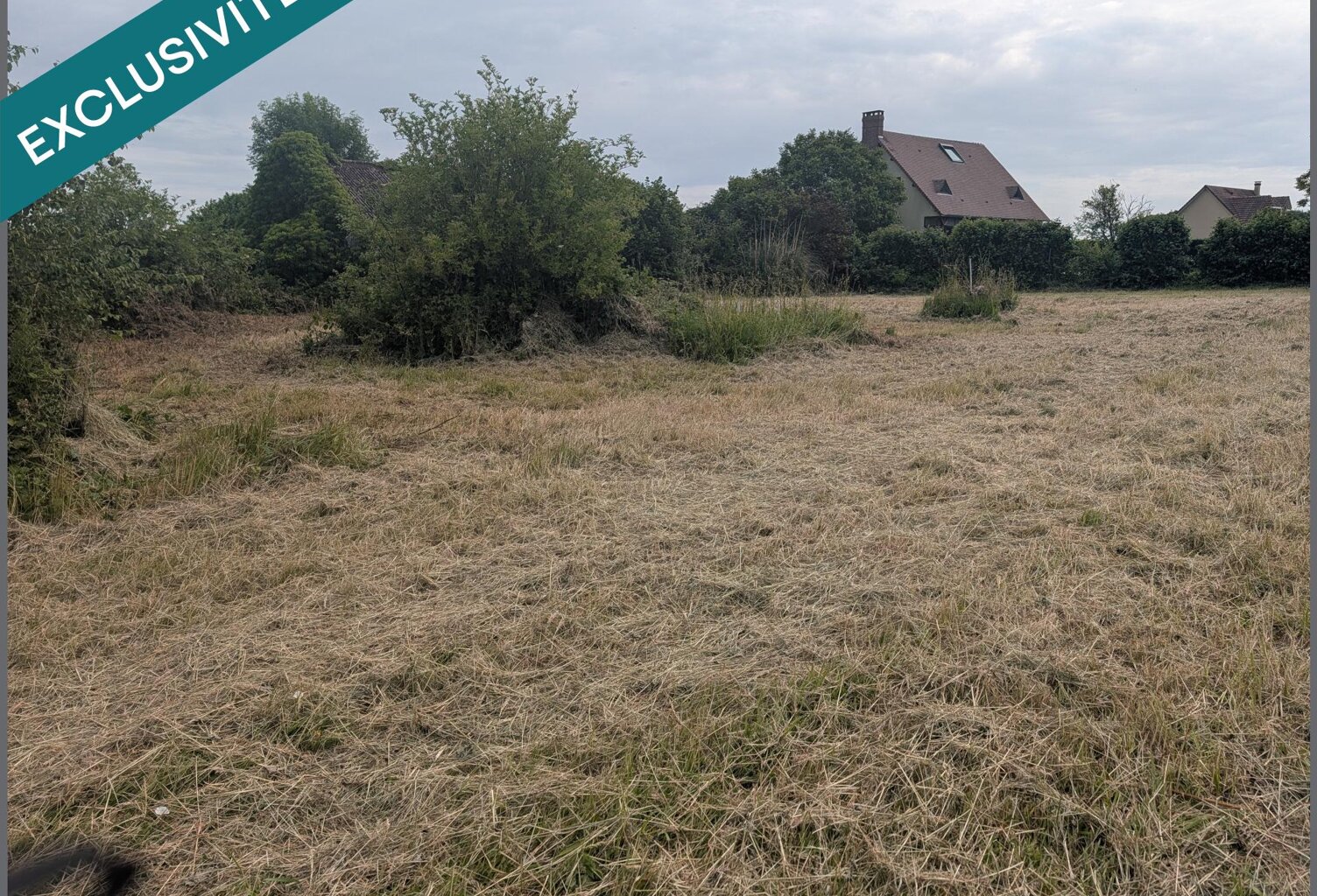 Projet de rénovation sur beau terrain à Bosville — photo 1