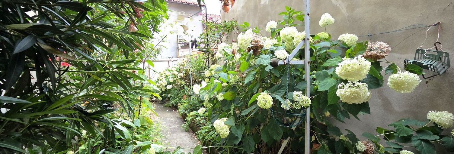 Photo N° 2