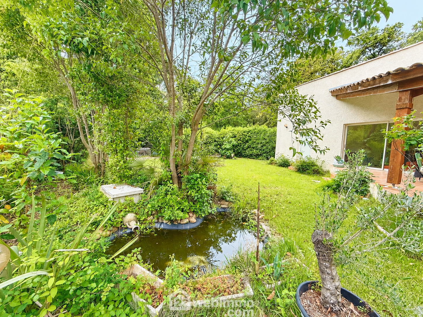 Agence immobilière de 123webimmo Montpellier Est