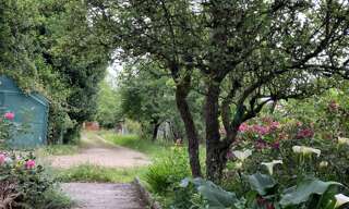 Photo N° 2