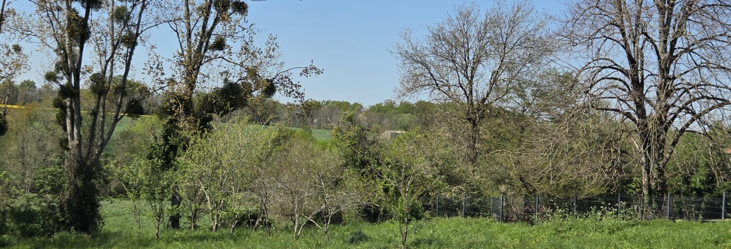 Terrain  701 m² à vendre à Saint-Simon-de-Bordes (17500)